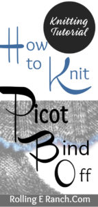 picot bind off tutorial pin-for pinterest