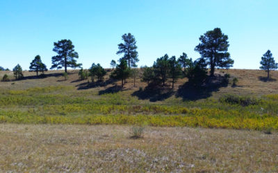 First Day of Autumn on The Ranch