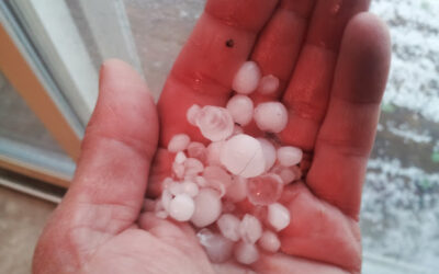 Awwww Hail!!